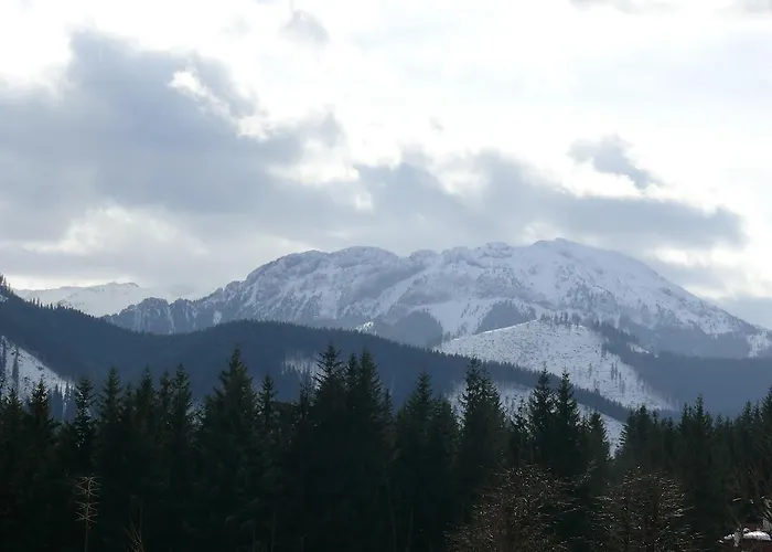 Privatunterkunft Pod Lasem Kościelisko